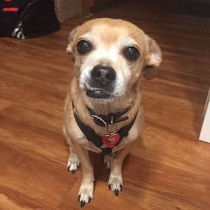 Meet your Posher, Silvia